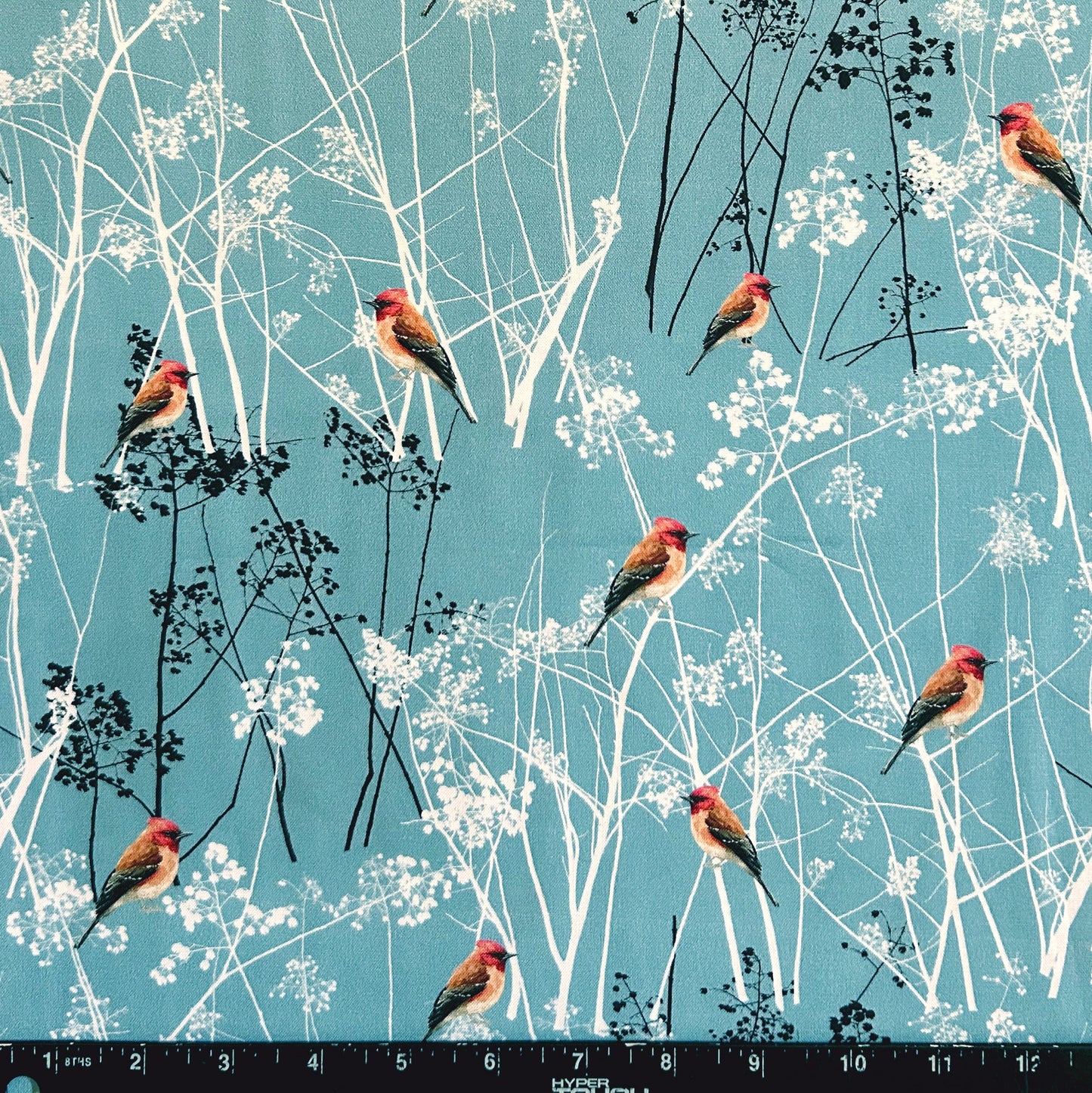 ELEGANT FINCHES ON WINTER BRANCHES