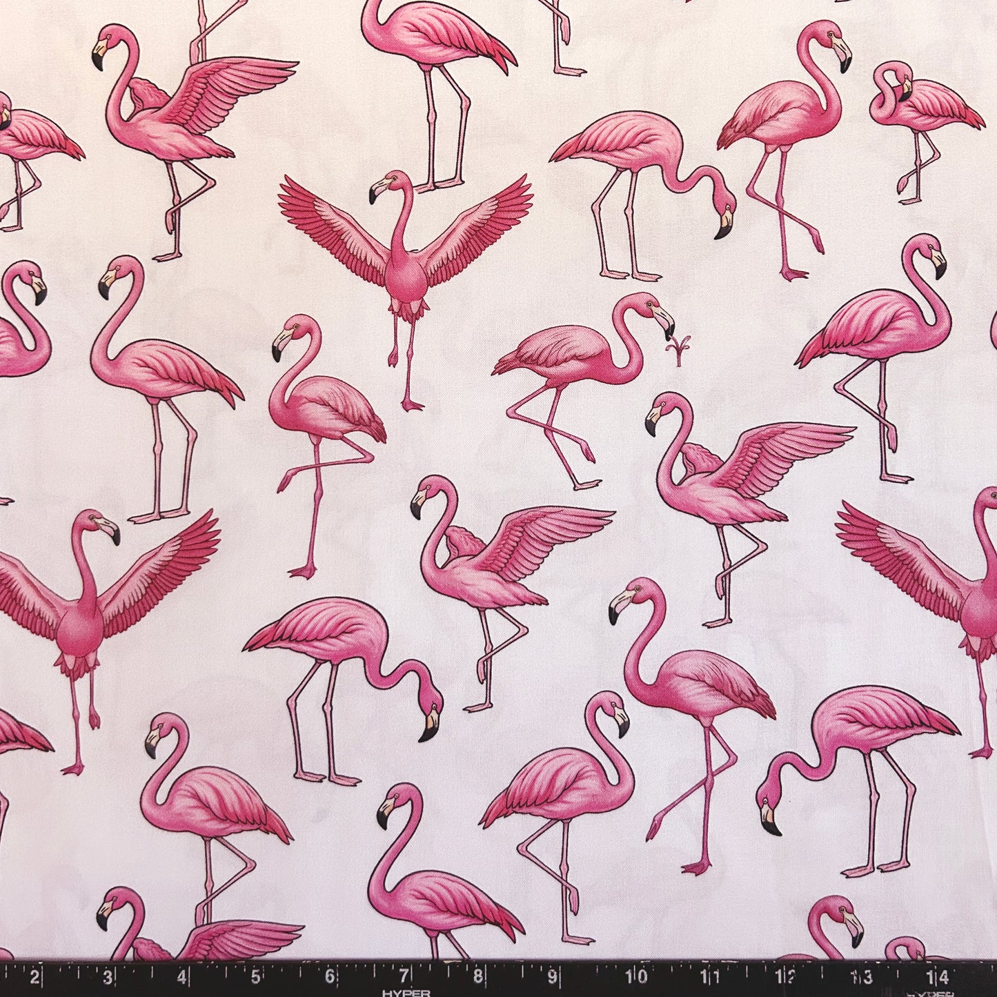 ELEGANT FLAMINGO DANCE