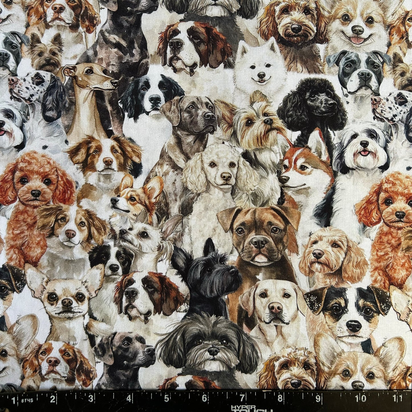 CROWDED CANINE COMPANIONS