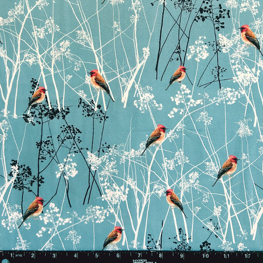 ELEGANT FINCHES ON WINTER BRANCHES