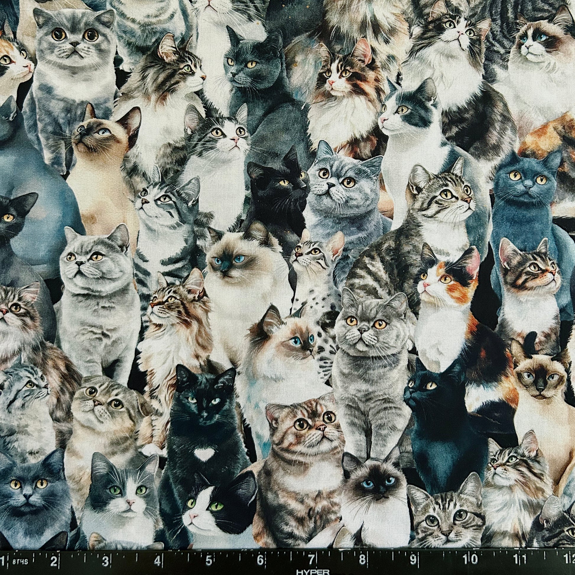 MAJESTIC FELINE CROWD