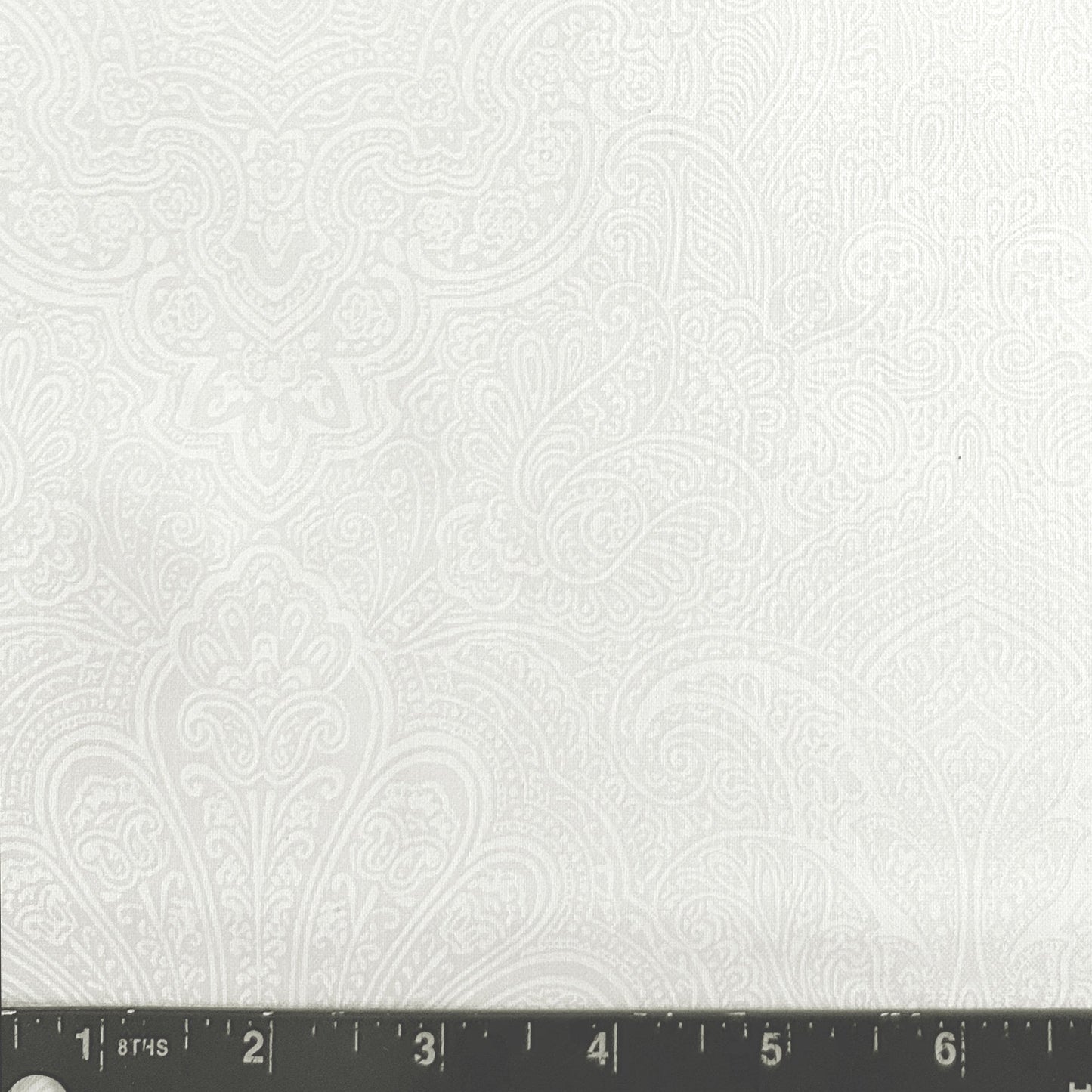 PAISLEY WHITE ON WHITE