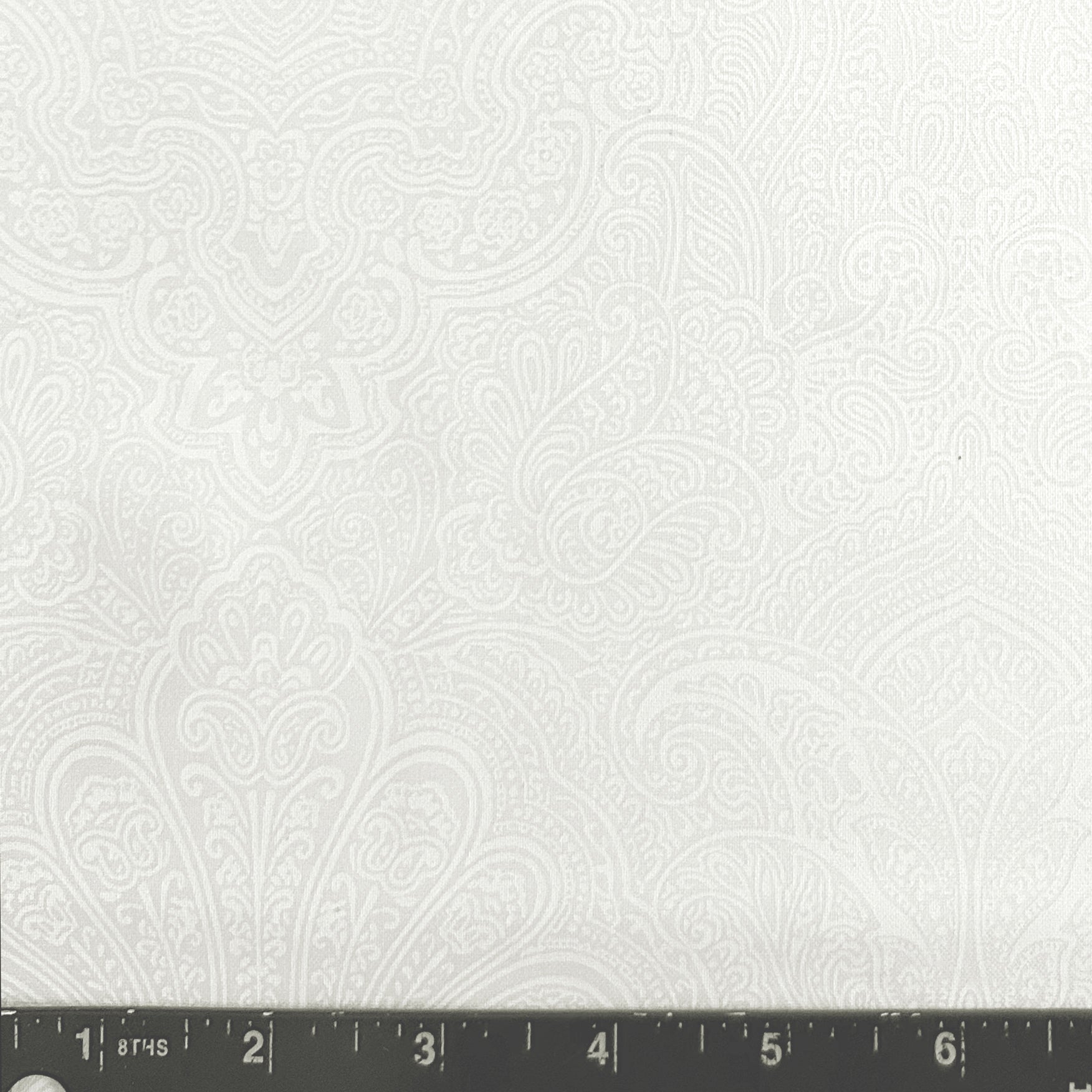 PAISLEY WHITE ON WHITE