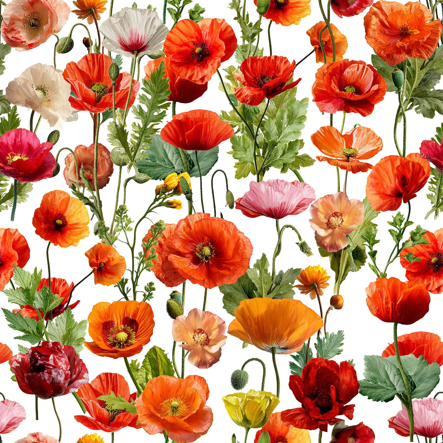 VIBRANT POPPY MEADOW BLOOM