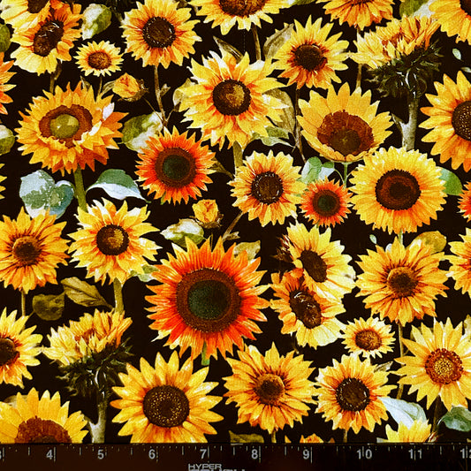 VIBRANT SUNFLOWER FIELD ON BLACK