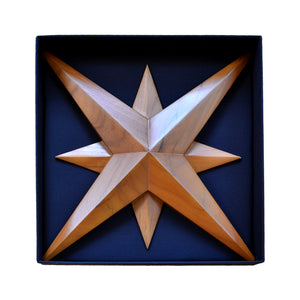 Compass Rose Nautical Decor Wall Decoration with Detachable Solid Brass Cardinal Point Letters (Large)